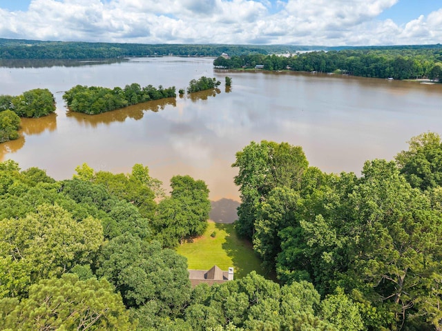 1601 Heidi Trl, Buckhead, GA 30625 - aerial view of a large body of water and a heavily wooded area