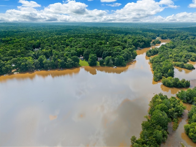 1601 Heidi Trl, Buckhead, GA 30625 - aerial view of a heavily wooded area and a nearby body of water