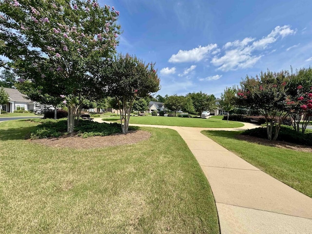 1091 Lake Front Ct, Greensboro, GA 30642 - photo 74