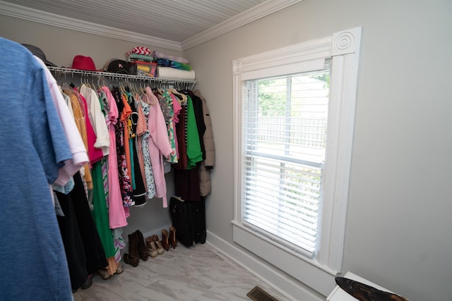 view of spacious closet