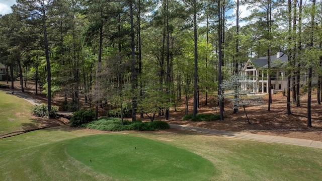 1111 Swift Crk, Greensboro, GA 30642 - view of community featuring view of golf course and a lawn