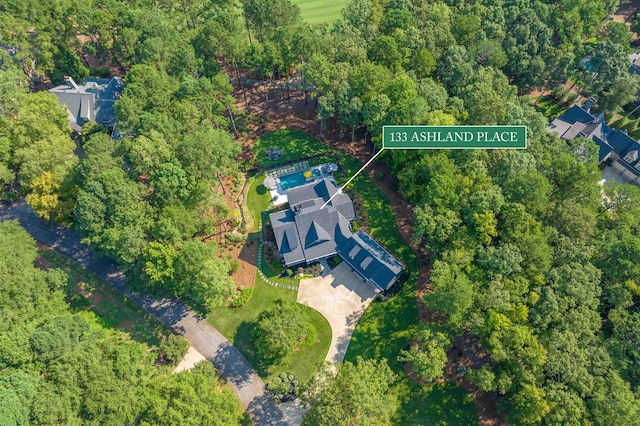 drone / aerial view