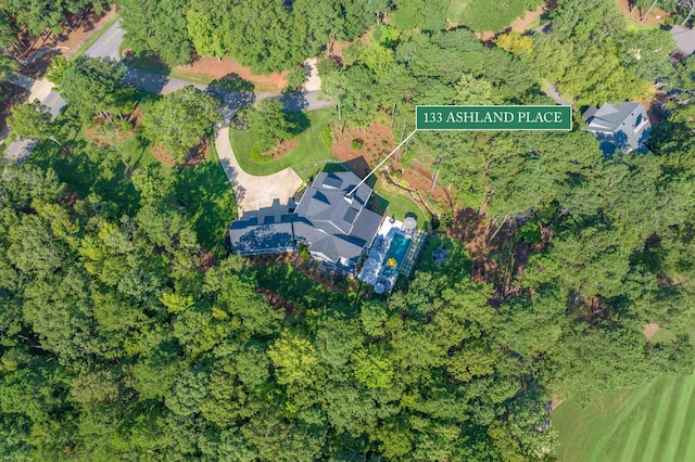 drone / aerial view