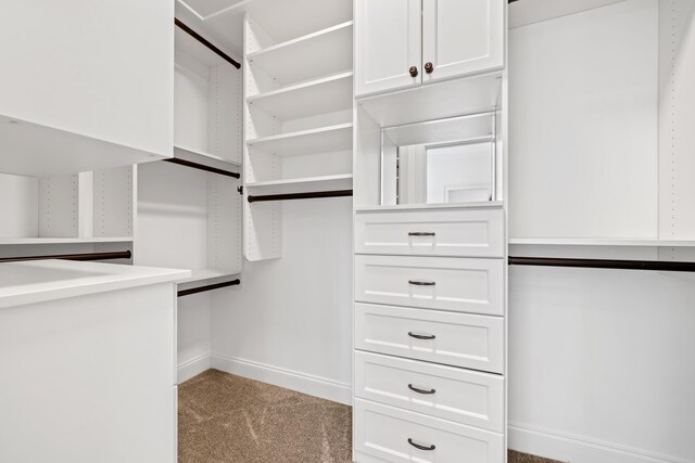 spacious closet featuring light colored carpet