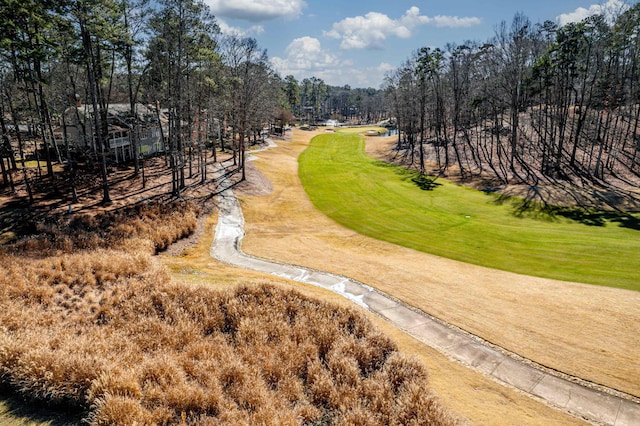 surrounding community featuring a yard