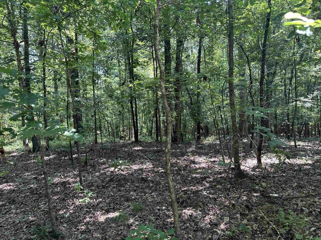 0 Phillips Dr, Eatonton, GA 31024