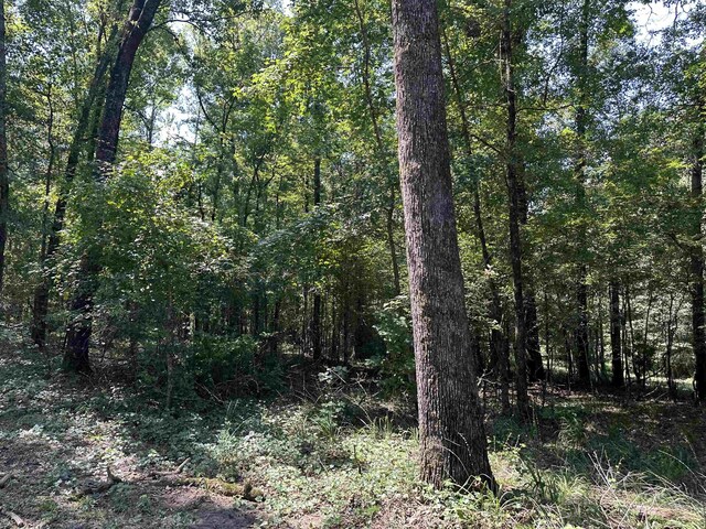 0 Phillips Dr, Eatonton, GA 31024