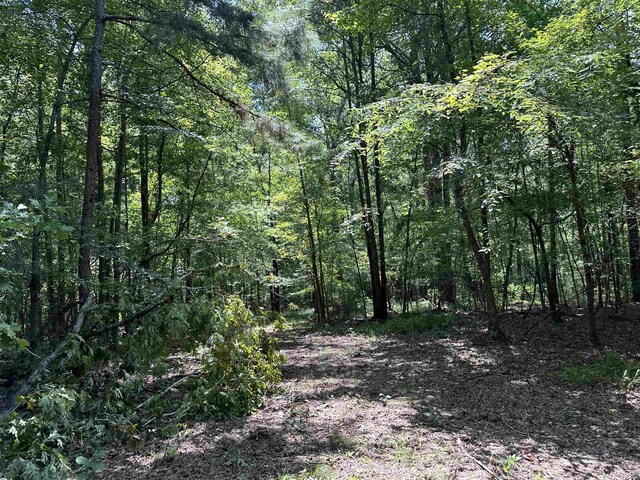 0 Phillips Dr, Eatonton, GA 31024
