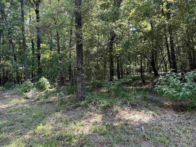 0 Phillips Dr, Eatonton, GA 31024