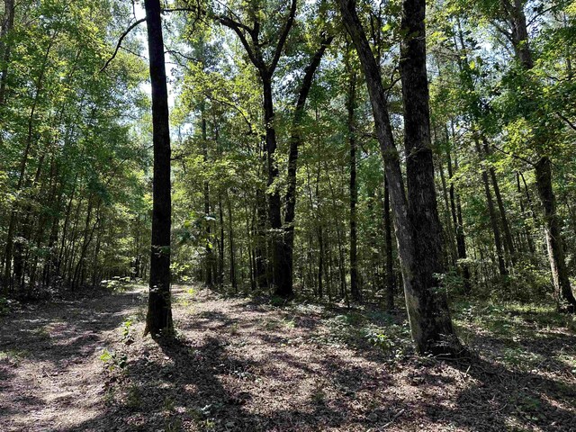 0 Phillips Dr, Eatonton, GA 31024