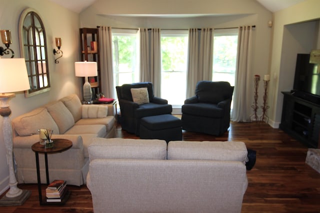 living room with lofted ceiling and dark hardwood / wood-style flooring