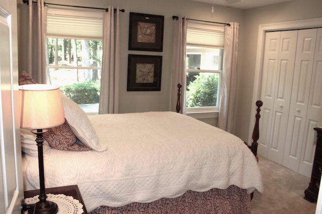 carpeted bedroom with multiple windows and a closet