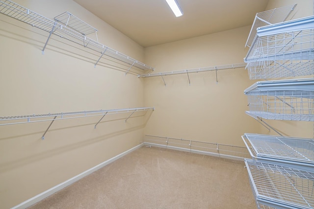 spacious closet with carpet floors