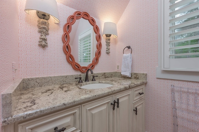 bathroom featuring vanity and a healthy amount of sunlight