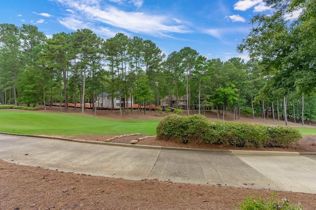 view of community featuring a lawn