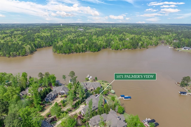 1071 Palmers Vw, Greensboro, GA 30642 - birds eye view of property with a residential view, a view of trees, and a water view