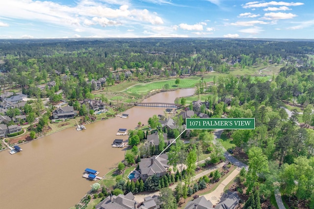 1071 Palmers Vw, Greensboro, GA 30642 - birds eye view of property with a view of trees, a residential view, and a water view