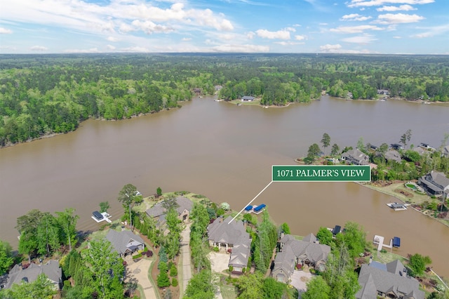 1071 Palmers Vw, Greensboro, GA 30642 - aerial view with a residential view, a wooded view, and a water view