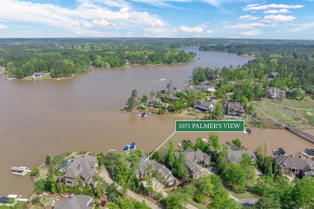 1071 Palmers Vw, Greensboro, GA 30642 - drone / aerial view with a residential view and a water view