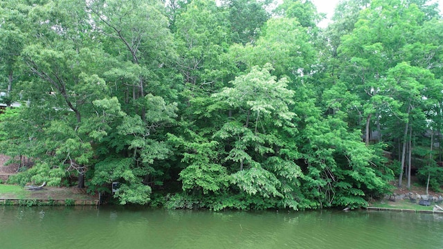 119 Bluegill Run, Eatonton GA, 31024 land for sale