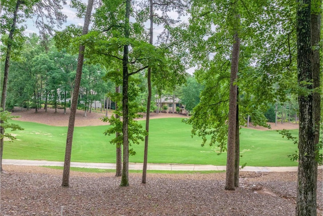 1040 Kimbrough Hill Ln, Greensboro, GA 30642 - surrounding community with a yard, view of golf course, and view of wooded area