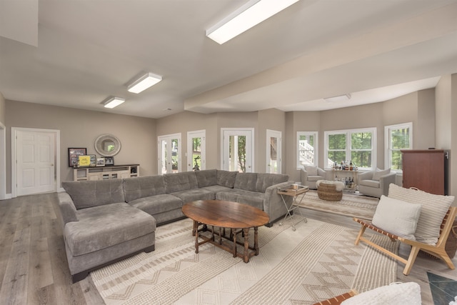 1040 Kimbrough Hill Ln, Greensboro, GA 30642 - living room featuring plenty of natural light and wood finished floors