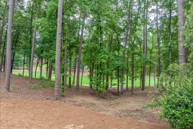 1040 Kimbrough Hill Ln, Greensboro, GA 30642 - view of nature