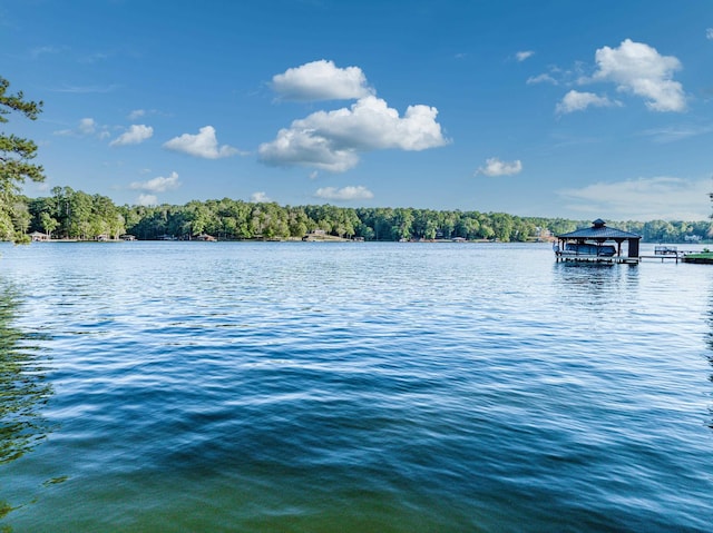 water view with a wooded view