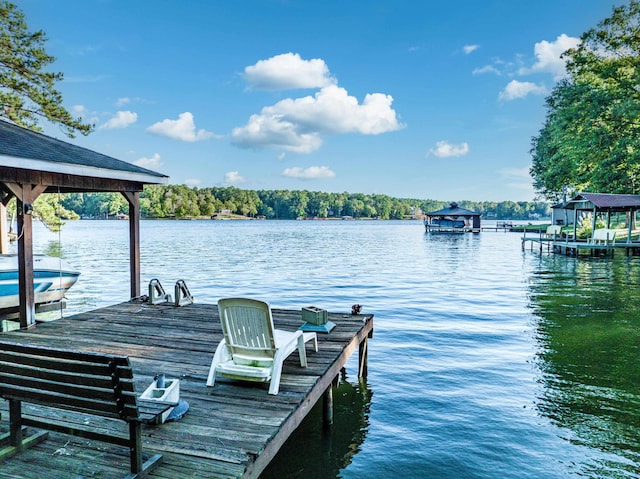 dock area featuring a water view