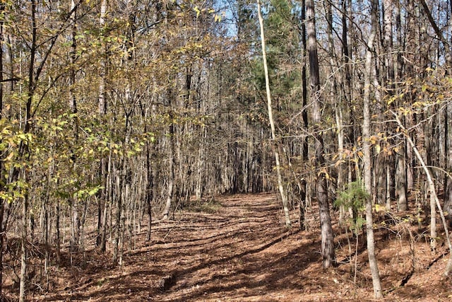 Listing photo 3 for 10AC Cunningham Rd, Greensboro GA 30642