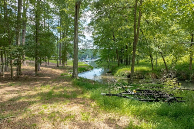 1041 Kings Bridge Rd, Greensboro, GA 30642 - photo 69