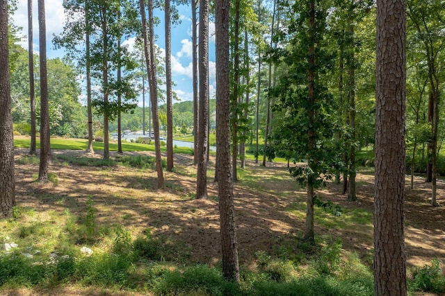 1041 Kings Bridge Rd, Greensboro, GA 30642 - photo 67