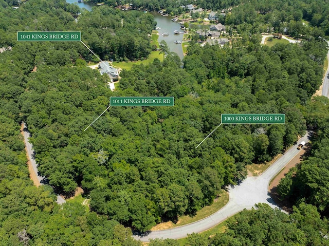 1041 Kings Bridge Rd, Greensboro, GA 30642 - photo 62