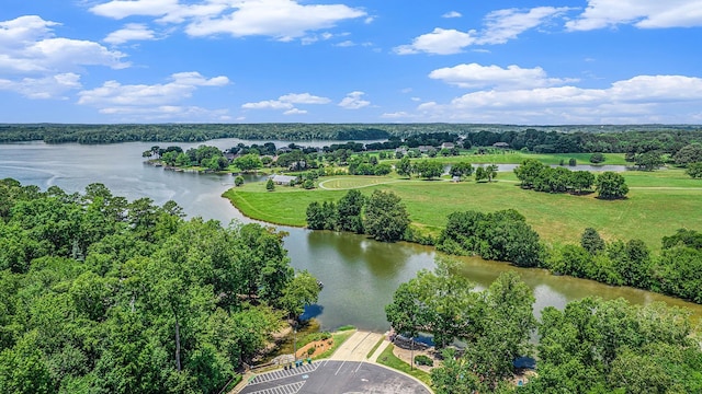 1000 Eight Knot Ct, Greensboro, GA 30642 - bird's eye view of a nearby body of water and a tree filled landscape
