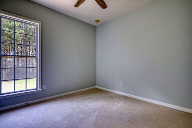 1001 Flat Rock St, Greensboro, GA 30642 - photo 30