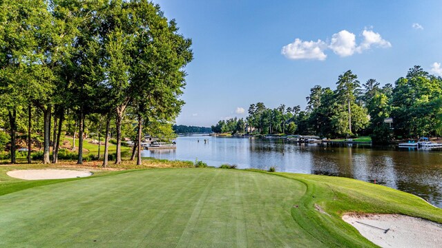 1132 Harbor Ridge Dr, Greensboro, GA 30642 - photo 71