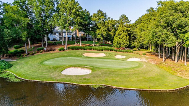 1132 Harbor Ridge Dr, Greensboro, GA 30642 - photo 62