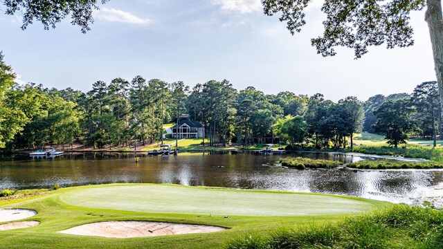 1132 Harbor Ridge Dr, Greensboro, GA 30642 - photo 70