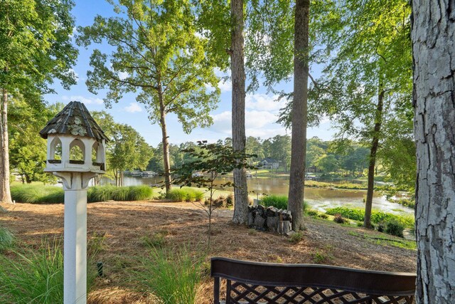 1132 Harbor Ridge Dr, Greensboro, GA 30642 - photo 56