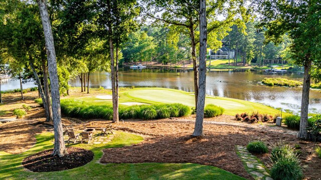 1132 Harbor Ridge Dr, Greensboro, GA 30642 - photo 72