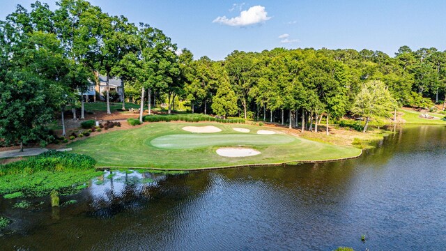 1132 Harbor Ridge Dr, Greensboro, GA 30642 - photo 61