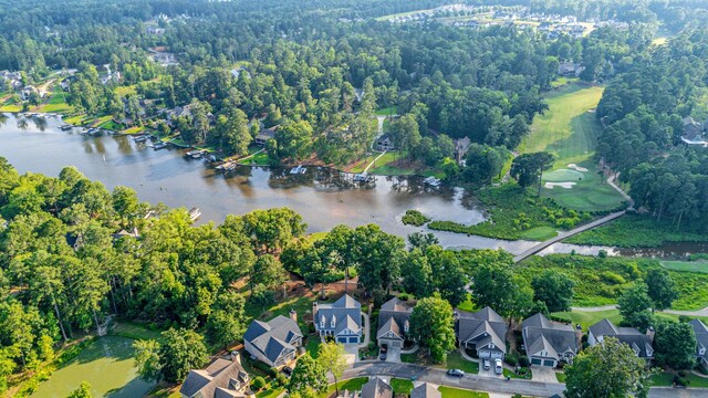1132 Harbor Ridge Dr, Greensboro, GA 30642 - photo 59