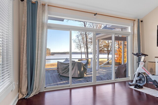 doorway to outside featuring a water view, a healthy amount of sunlight, and dark hardwood / wood-style floors