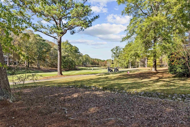 view of property's community featuring a yard