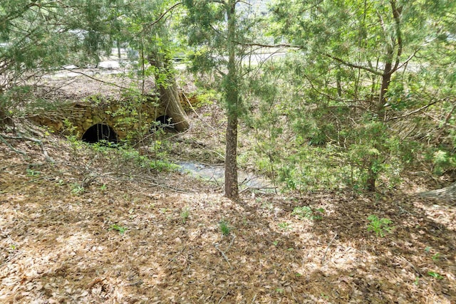 view of nature featuring a wooded view