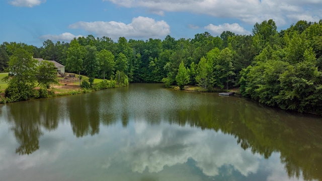 view of water feature