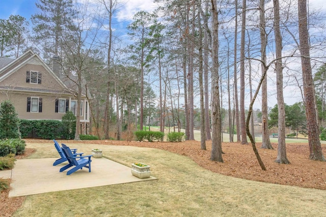 view of yard featuring a patio area