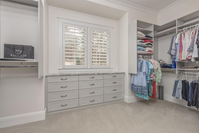 walk in closet with light carpet