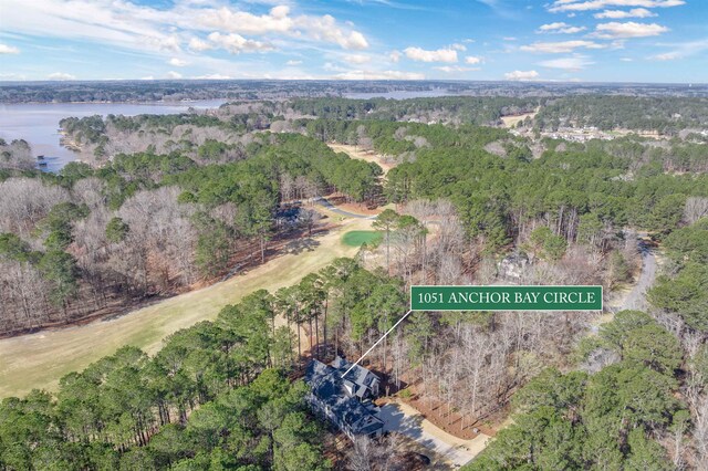 drone / aerial view with a water view and a wooded view