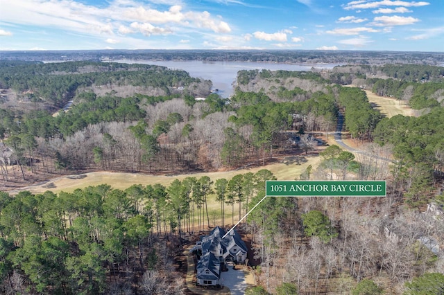 bird's eye view featuring a water view and a forest view